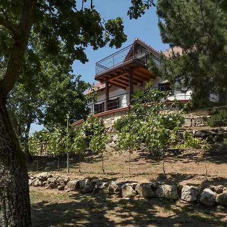 Monte Balaton 別荘 パロズナク