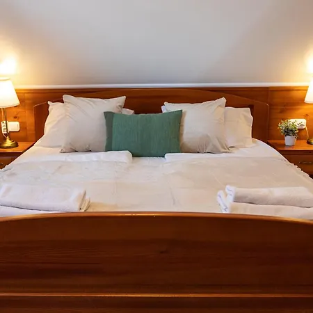 Monte Balaton 別荘 パロズナク