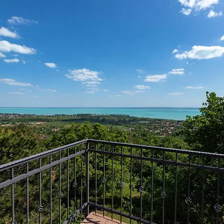 Monte Balaton 別荘 *