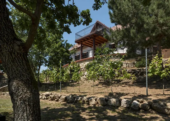 Monte Balaton בית נופש פלוזנק