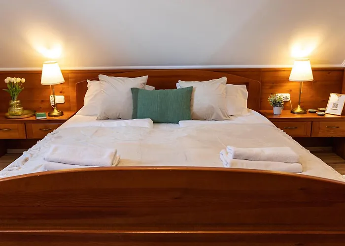 Monte Balaton בית נופש פלוזנק