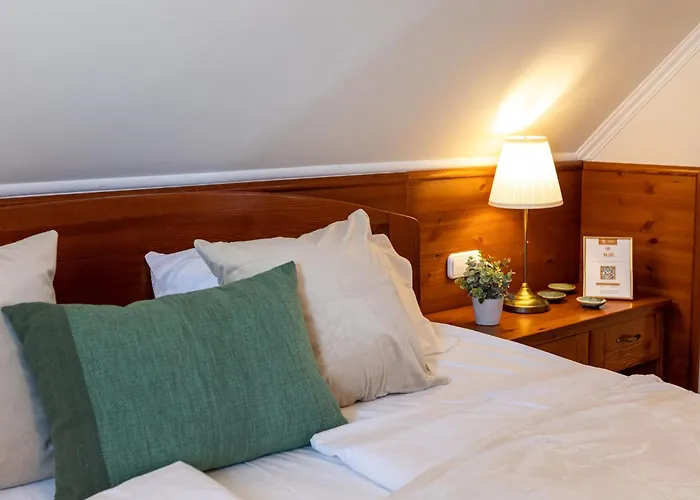 Monte Balaton בית נופש פלוזנק